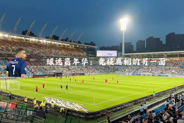 球迷嘉年华：竞技真相的另一面